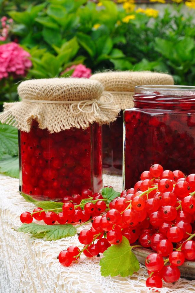 Přípravky na zimu: želé s rybízem. Recept na přípravky bez vaření