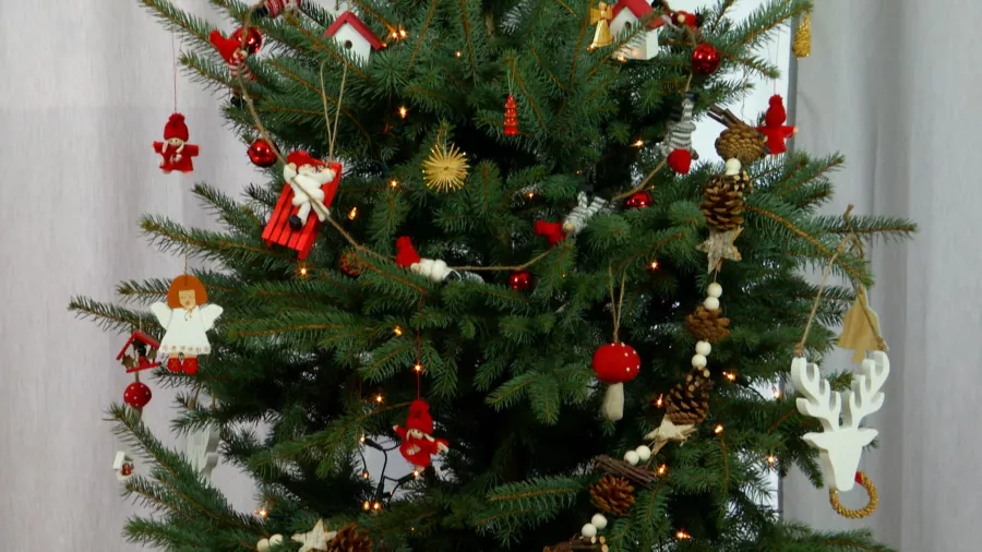Rustik tarzda bir Noel ağacı nasıl süslenir? Doğal malzemelerden yapılmış süsleri ve Noel süslerini seçiyoruz