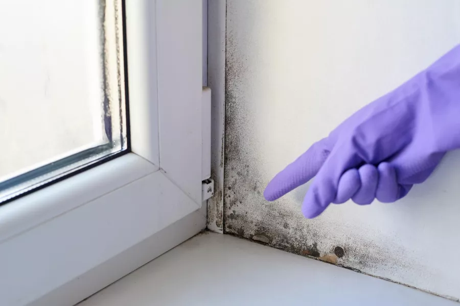 Okno je vlhké a na zdi jsou černé tečky? Reagujte, než bude příliš pozdě
