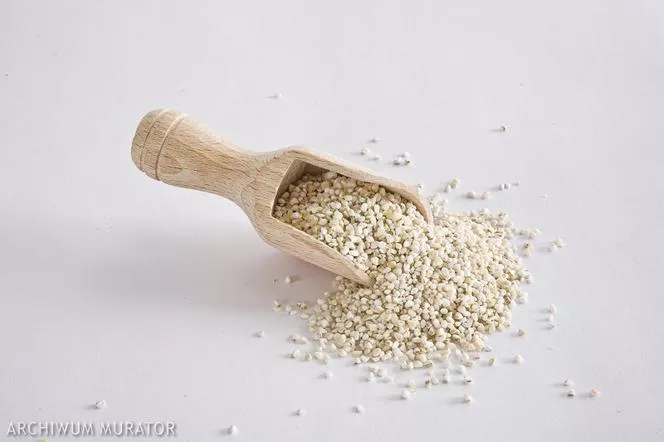 Yemek tık. Evdeki zararlılar: mkliki neye benziyor ve onlardan nasıl kurtulur